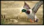 American Expedition Canvas Art - Mallard