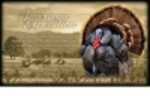 American Expedition Canvas Art - Wild Turkey