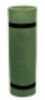 Alps Mountaineering Foam Mat Green Regular 375