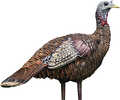 Avian AVX-AVX8006 Lcd Lookout Hen Decoy