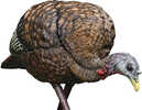 AVIAN X TURKEY DECOY LCD FEEDER HEN Model: AVX-AVX8007