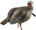 Avian AVX-AVX8105 HDR Jake Decoy