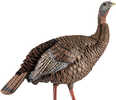 Avian AVX-AVX8106 HDR Hen Decoy