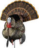 AVIAN X TURKEY DECOY HDR STRUTTER Model: AVX-AVX8108