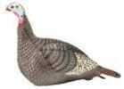 HS STRUT-LITE HEN DECOY