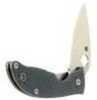 Spyderco Alcyone Folding Knife, 2.75-Inch Cts-BD1 Stainless Steel Blade, G-10 Handle Md: C222GPYG