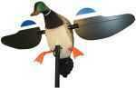 Mojo Hw2107 Mallard Drake New 6V Decoy