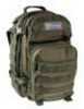 Drago Gear Scout Backpack Tactical 600D Polyester 16"X10"X10 Green