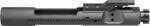 Core15 Bolt Carrier Group M-16