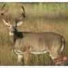 DURA Mesh Archery Target Broad Side Whitetail 25"X32"