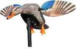 Mojo Elite Series Mini Mallard Hen Decoy