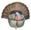 Montana Decoy Turkey Gobbler Fanatic 2D