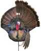 Montana Decoy Turkey Gobbler Wiley Tom