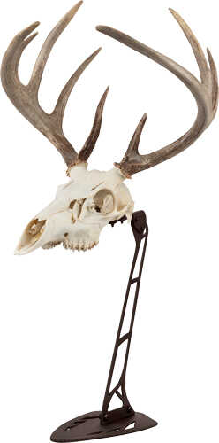 ALLEN EZ MOUNT CENTER SKULL STAND